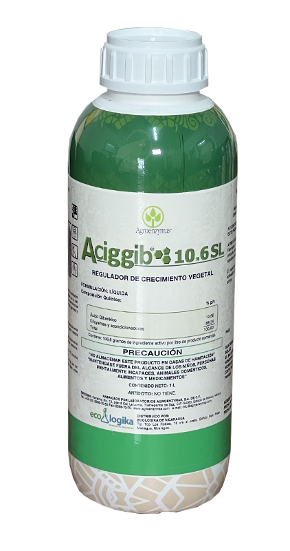Aciggib 10.6 SL AD Strong
